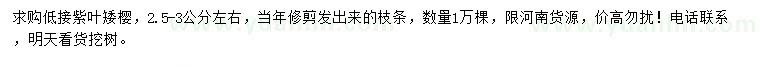 求購2.5-3公分左右低接紫葉矮櫻