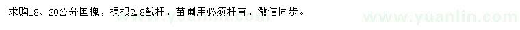 求購18、20公分國槐
