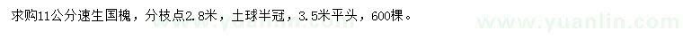求購11公分速生國槐