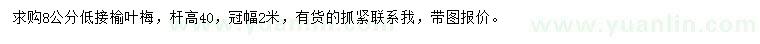 求購(gòu)8公分低接榆葉梅