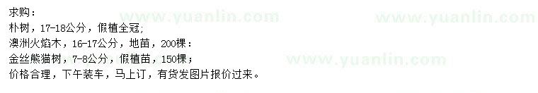 求購(gòu)樸樹(shù)、澳洲火焰木、金絲熊貓樹(shù)