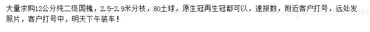 求購12公分國槐