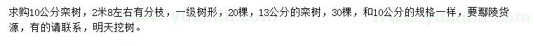 求購(gòu)10、13公分欒樹(shù)