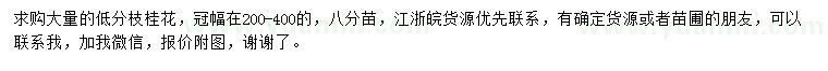 求購(gòu)冠幅200-400公分低分枝桂花