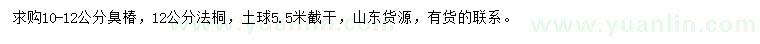 求購(gòu)10-12公分臭椿、12公分法桐