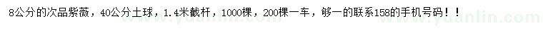 求購(gòu)8公分紫薇