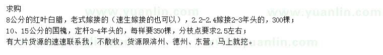 求購8公分紅葉白臘、10、15公分國槐
