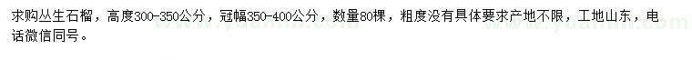 求購高度300-350公分叢生石榴