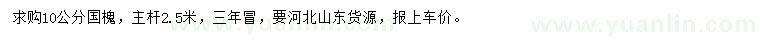 求購10公分國槐
