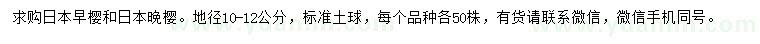 求購地徑10-12公分日本早櫻、日本晚櫻