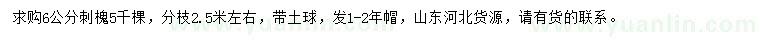 求購(gòu)6公分刺槐