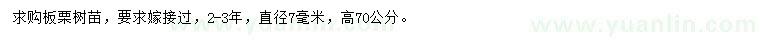 求購高70公分板栗樹苗