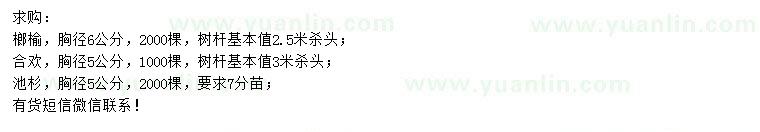 求購榔榆、合歡、池杉