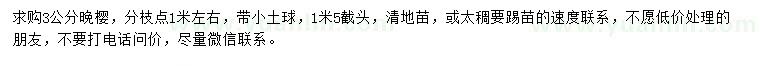 求購3公分晚櫻