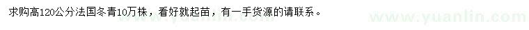 求購(gòu)高120公分法國(guó)冬青
