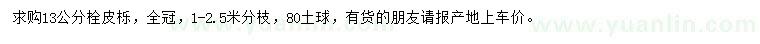 求購13公分栓皮櫟