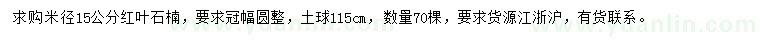 求購米徑15公分紅葉石楠