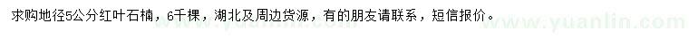 求購地徑5公分紅葉石楠