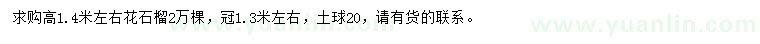求購高1.4米左右花石榴