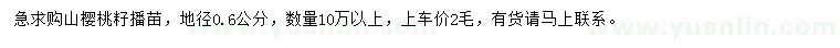 求購地徑0.6公分山櫻桃