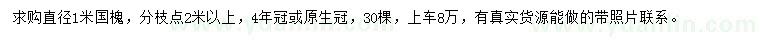 求購直徑1米國槐