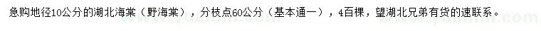 求購(gòu)地徑10公分湖北海棠