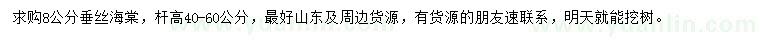 求購8公分垂絲海棠