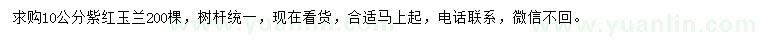 求購10公分紫紅玉蘭