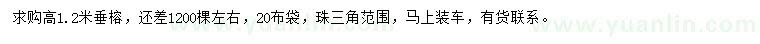 求購(gòu)高1.2米垂榕