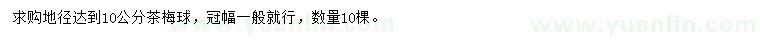 求購地徑10公分茶梅球