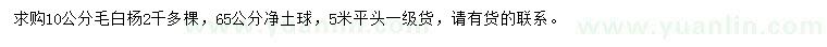 求購10公分毛白楊
