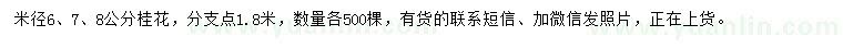 求購米徑6、7、8公分桂花