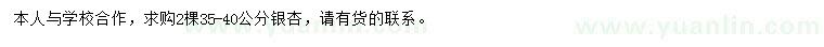 求購35-40公分銀杏