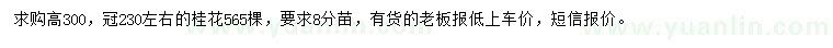 求購(gòu)高300公分桂花