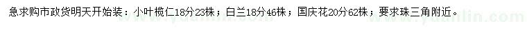求購小葉欖仁、白蘭、國慶花