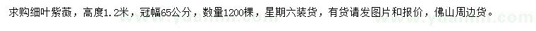 求購高度1.2米細(xì)葉紫薇