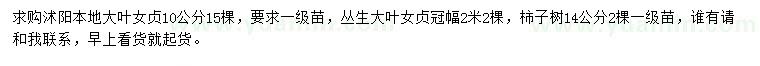 求購(gòu)大葉女貞、叢生大葉女貞、柿子樹