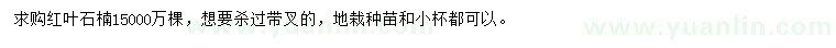 求購紅葉石楠