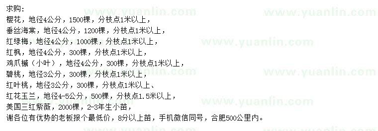 求購櫻花、垂絲海棠、紅綠梅等