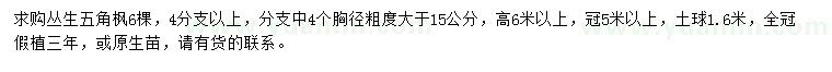 求購(gòu)高6米以上叢生五角楓