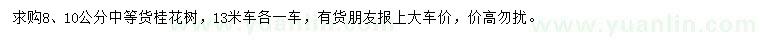 求購8、10公分桂花樹