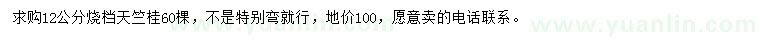 求購12公分天竺桂