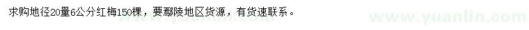 求購地徑20量6公分紅梅