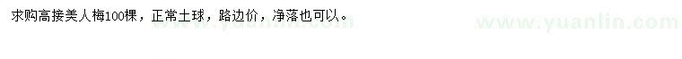 求購(gòu)高接美人梅