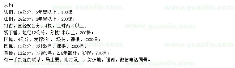 求購(gòu)法桐、銀杏、紫丁香等