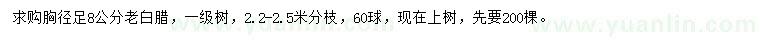 求購胸徑足8公分老白臘