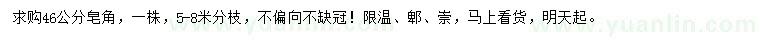 求購46公分皂角