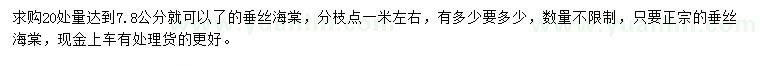 求購20量7.8公分垂絲海棠