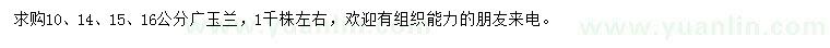 求購10、14、15、16公分廣玉蘭