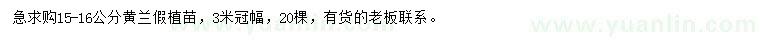 求購15-16公分黃蘭